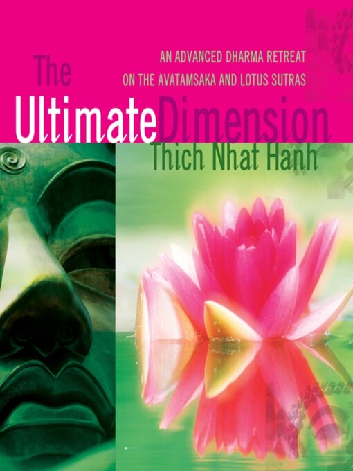 Cover image for The Ultimate Dimension